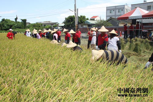 �_���r���ո�æ���Ї��_���W ʏͬ �z��