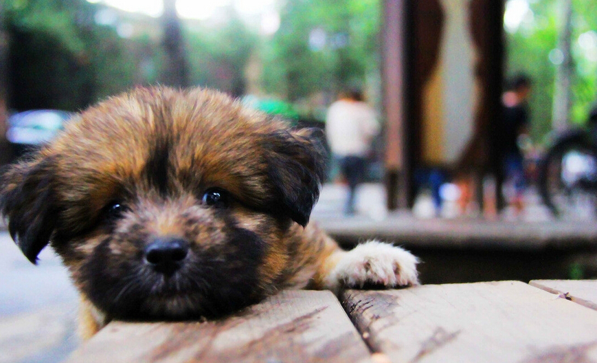 �û������J�B��܇ ��������l�]�����x�S�J�B