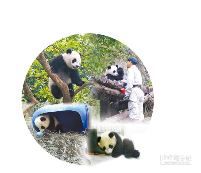 ��؈�����A�н�M�ܚq �T�����L��