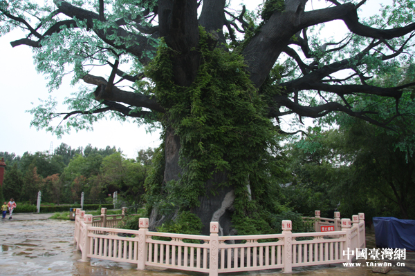 �ڶ����󻱘�