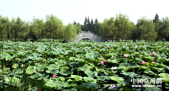 31�����ɰ�ý�wǰ����ɽ�����[�f������������ɽҰ���ɻ�������