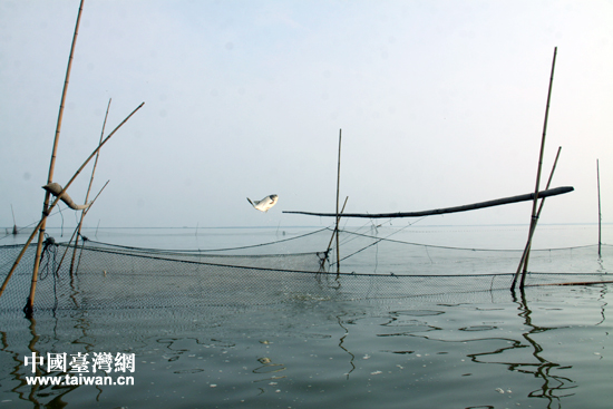 ��ͨ�����~�^���w�~�����^