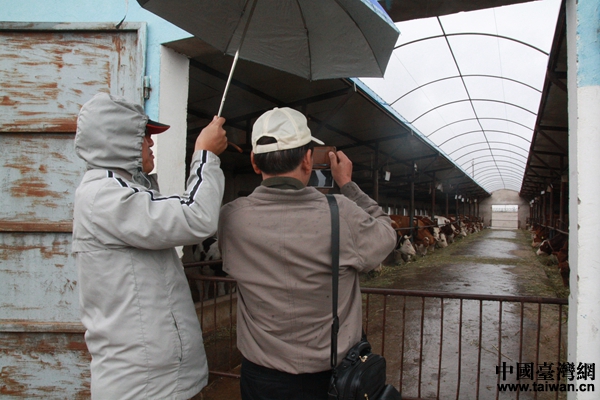 �_���Ѓɰ�������(w��)�����f(xi��)�����ҌW(xu��)�߅��^ɳ���(zh��n)�B(y��ng)ţ����