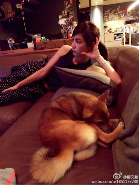 Ella�Ϲ��ɡ����޿�ħ�� ΢�����(��i)�ދ���������