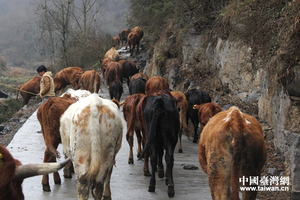 �����L����悈��P���B������ؚ�����J���Bֳ��ţ�����Ї��_���W ������ �z��