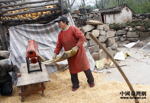 �񄞳���������Ӣ��