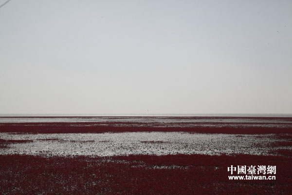 �P�\�t�����L���ȵ����Ї��_���W�����a�󡡔z��