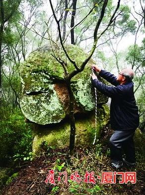 ͬ����݆ɽ�ϵĺ�ʯ��