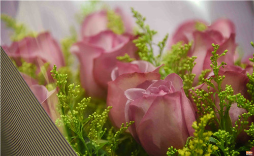 ���˹�(ji��) �Ϸ��r���Ј�һƬ�t�𣨽M�D��