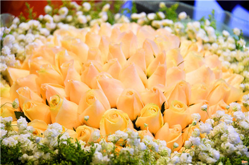 ���˹�(ji��) �Ϸ��r���Ј�һƬ�t�𣨽M�D��