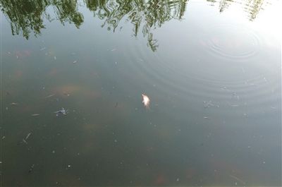 �Ҳ��������:����۷�����(d��ng)�� �з����c(di��n)���TƱ