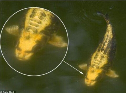 ��������l(f��)�F(xi��n)ȫ��ϡ�С��������~��(�D)