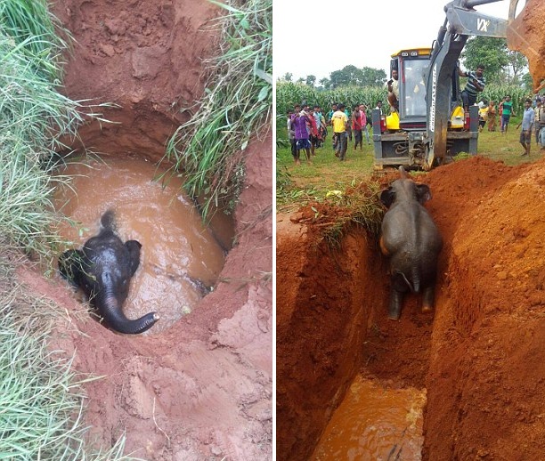 ӡ������M(j��n)ʩ���� �󋌋���ҹ���Q���