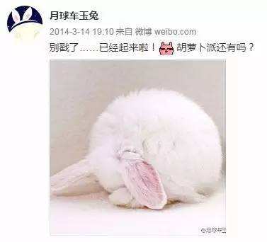 �c�ª�����972�� ��ֻ�B�����������h�x�_���҂�