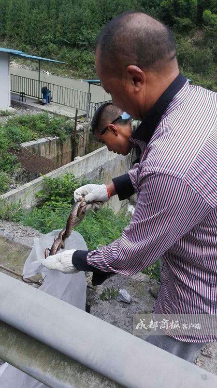 �Ĵ�ǧ��ɽİ���˷�����܇�� ������T������