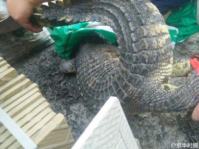 ��������B(y��ng)�sһ���L�{�~ ��ҹ����һ�ǻ��@