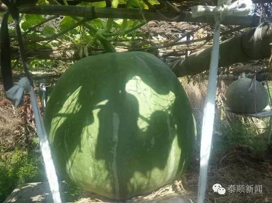 ����1���˷N��5�w�ޟo���Ϲ� ���һ���χ��_(d��)1��67