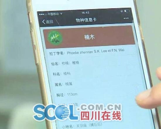 СС���S�a׌��üɽǧ��Ř䡰�_���fԒ��(�D)