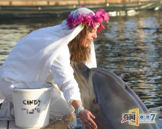 ���f�����c35�q����Y�� �����һ��