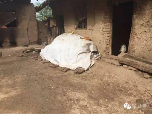 (另一間危房里面養(yǎng)豬)