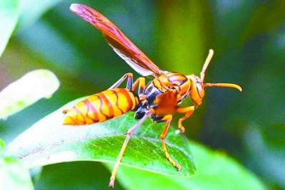 �R�壨�Y�ψD��