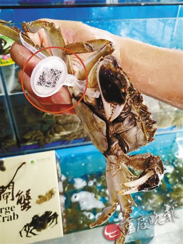 �(y��ng)�κ����lз��δ���_���ա�������Ѵ�Ҏ(gu��)ģ����