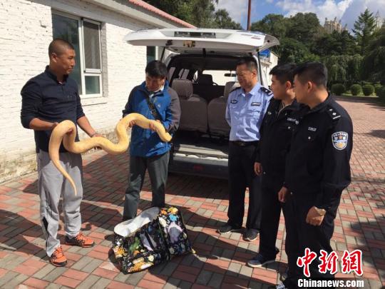 吉林新人婚禮上互贈(zèng)“黃金蟒”作為信物被警方收繳