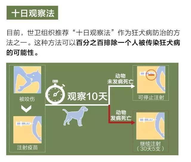 ��Ȯ�������ʽӽ�100%���˽��@Щ֪�R(sh��)׌���h(yu��n)�x����