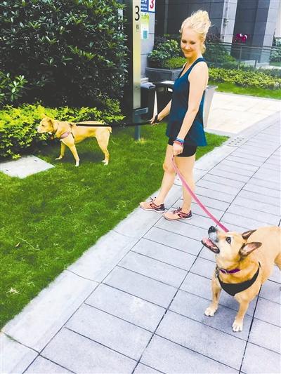 成都職業“洋遛狗” 一周兩次幫遛狗一次100元