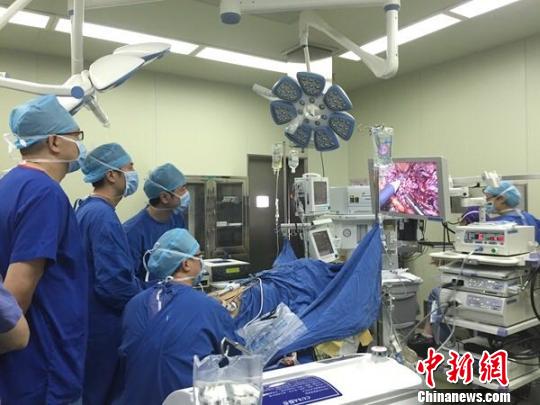 ������ξ����t(y��)����ɸ��y�ȸ�ǻ�R�»��w����ֲ���g(sh��)