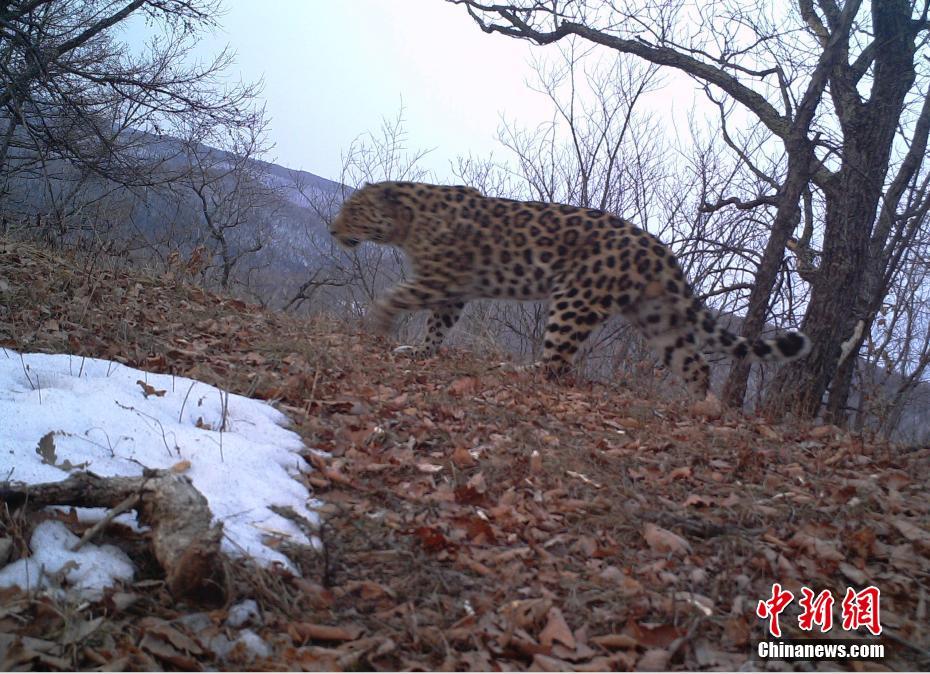 �������Ϡ��X�|���������E�M��O(ji��n)�y�ԁ�����S��