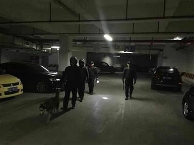 護衛隊全副武裝巡邏,哈士奇走在最前面 圖片由網友陳女士提供