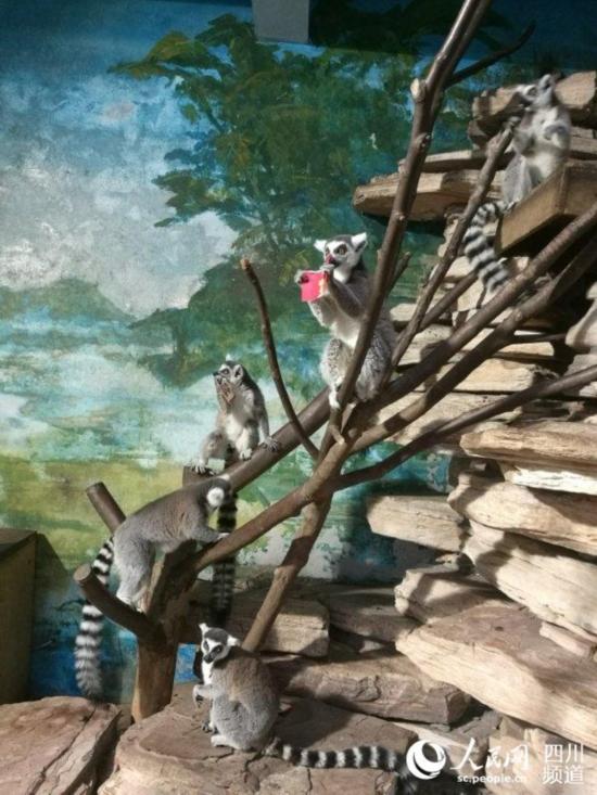 ������ܡ��t�����е���ζʳ�������� �z