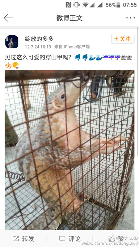 �W�ѣ��ɐ۵Ĵ�ɽ����Ҳ���ĳ���