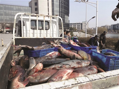 1000�๫����~��m(x��)���_(d��)ʳ��