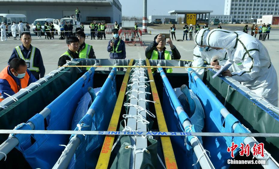 �ӱ��״Ό�(zhu��n)�C(j��)���\(y��n)�����뾳