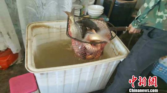 �S�Ӄ��ɹźӶ�ȫ���_ͨ�_���~���Ρ��ϲ���