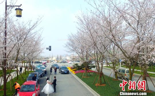 �P�ݡ��ѻ��������ǧ��ѻ�����`�Š�����ɫ������