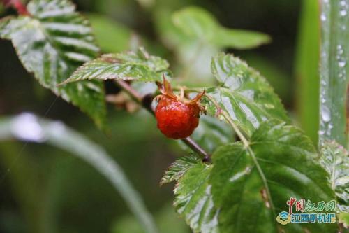 ��������{Ľ�����F�@���V�� ȫ��(gu��)�W(w��ng)ý������ӛ��ٝ�����ˡ�