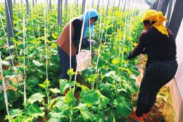 չ����ʮ���塱���x���Єӡ���ӛ���߻���Ҋ