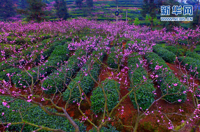 ���W�jý�w���D�ģ����L���� ����üɽ�ߵ��h���p�һ�