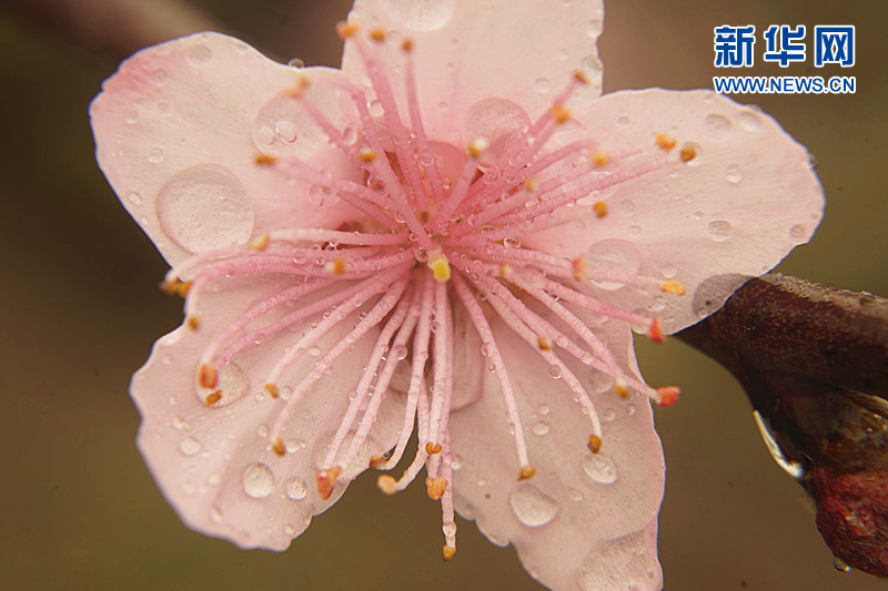 ���W�jý�w���D�ģ����L���� ����üɽ�ߵ��h���p�һ�