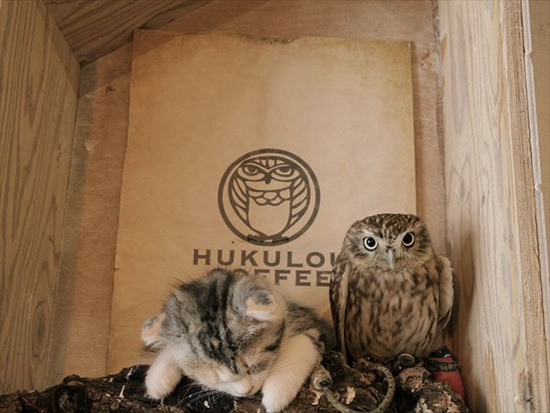 ؈�^����ĸ�ۜ�ůС؈����Ӱ���x�Ȼ����ģ��D��