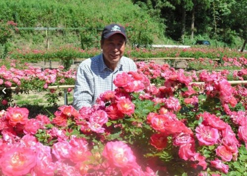 Ұ߅���۞�Ą�(l��)�������Ӷ��N��1�f��õ�塣�����괺�죬õ���״ξ`�š�