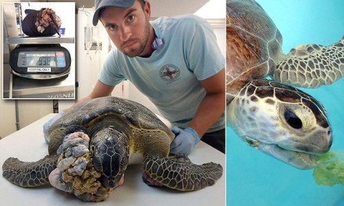 �����G����Ę�a�L���������г����g��u���ͣ��D��