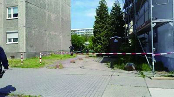 �l(f��)�F(xi��n)����ʬ�w�Ĺ�ľ����