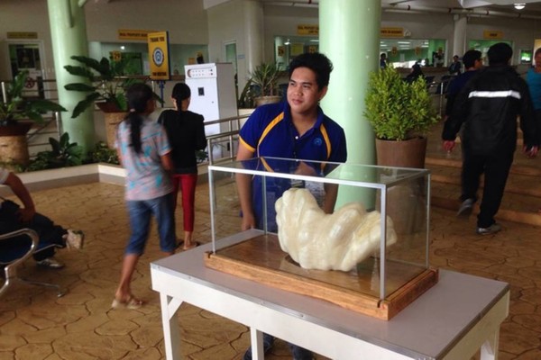 ����ԓ�����ڮ��ر�չ����