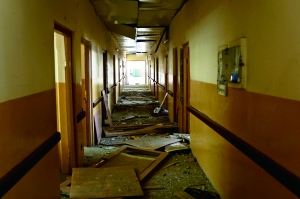 �ψD����ը�F���������T���D��У���һƬ�ǽ������A��l