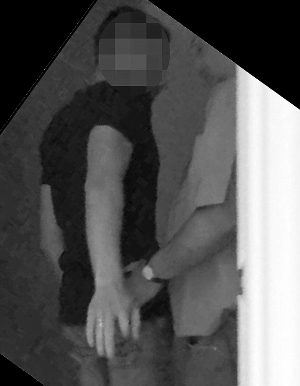 英國議員嫖娼男妓追蹤:嫖資疑用善款資助 英國議員嫖娼男妓追蹤:嫖資疑用善款資助