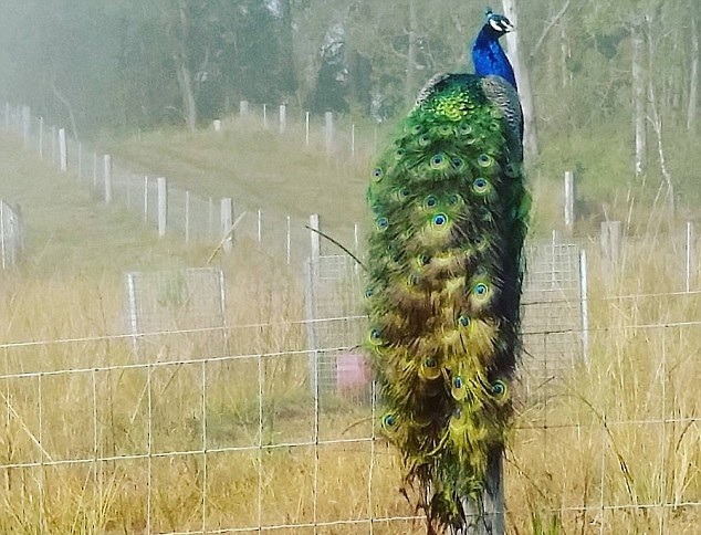 �r�����B��ȸ������ �������B���uȺ�����o��